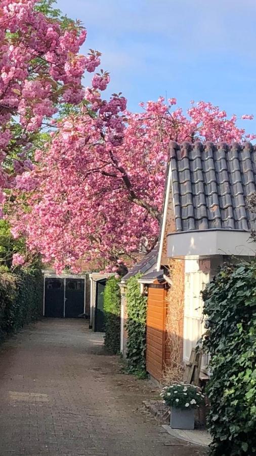 Prins Heerlijk Sassenheim Zewnętrze zdjęcie