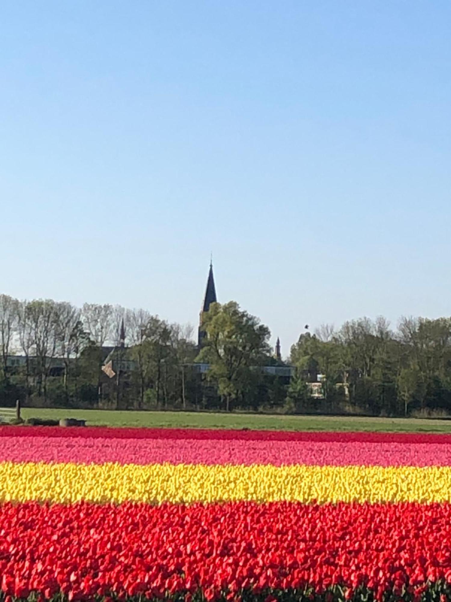 Prins Heerlijk Sassenheim Zewnętrze zdjęcie